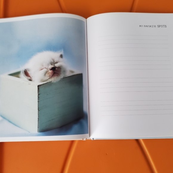 NWOTs ~ My Cat Record Book ~ - Picture 14 of 14